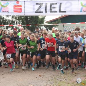 Weisseritztallauf 2025 (15)