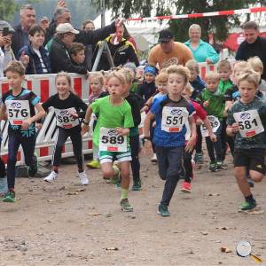 Weisseritztallauf 2025 (30)