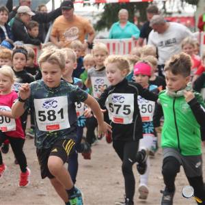 Weisseritztallauf 2025 (31)