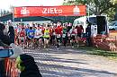 WTL2010 003