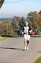 WTL2010 048