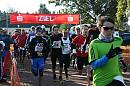 WTL2015 010
