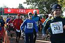 WTL2015 011