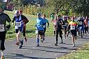 WTL2015 020