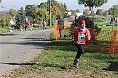 WTL2015 164