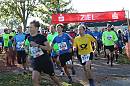 Weisseritztallauf 2023 010