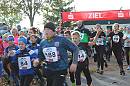 Weisseritztallauf 2023 034