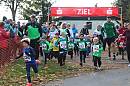 Weisseritztallauf 2023 039